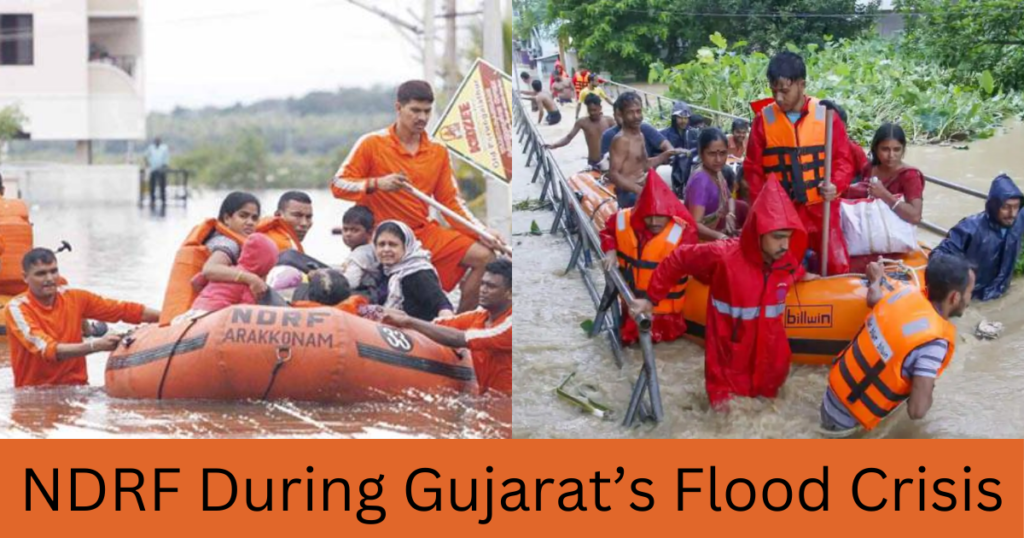 "Indian Cricket Star Rescued by NDRF During Gujarat’s Flood Crisis"in hindi