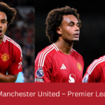 Brighton vs Manchester United – Premier League Football